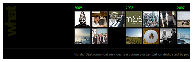 Nordic Gourmet Tour - Nordic Gastronimical Services // New image and webiste ( Logo, graphic design, CSS, HTML)
