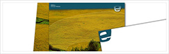 Enerline //  Private company in environmental software sector ( Logo re-design and promotional / through Prospero )